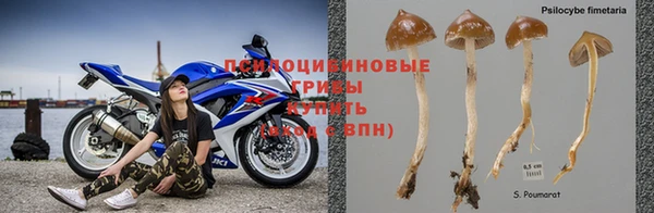 спайс Верхний Тагил