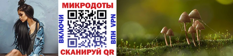 ссылка на мегу как войти  Новоузенск  Галлюциногенные грибы GOLDEN TEACHER 