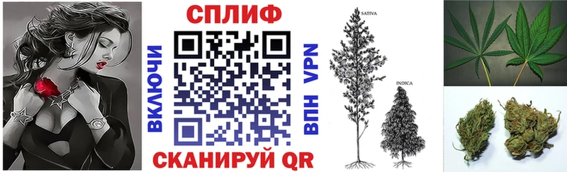 Каннабис план  ссылка на мегу онион  мориарти состав  Новоузенск 