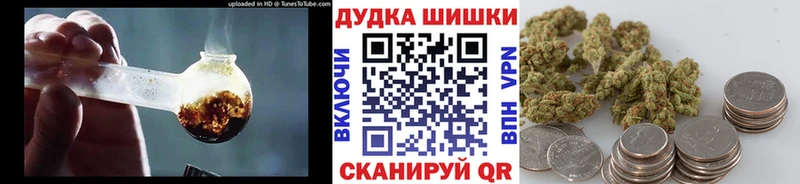 Канабис план Новоузенск